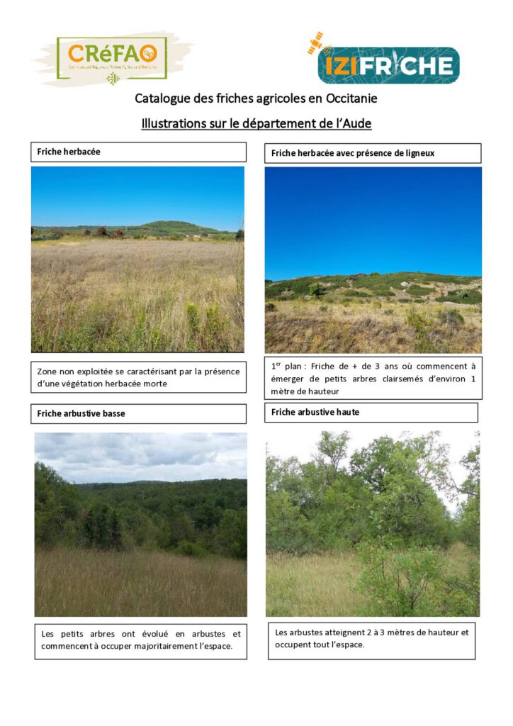 Illustrations sur le département de l’Aude