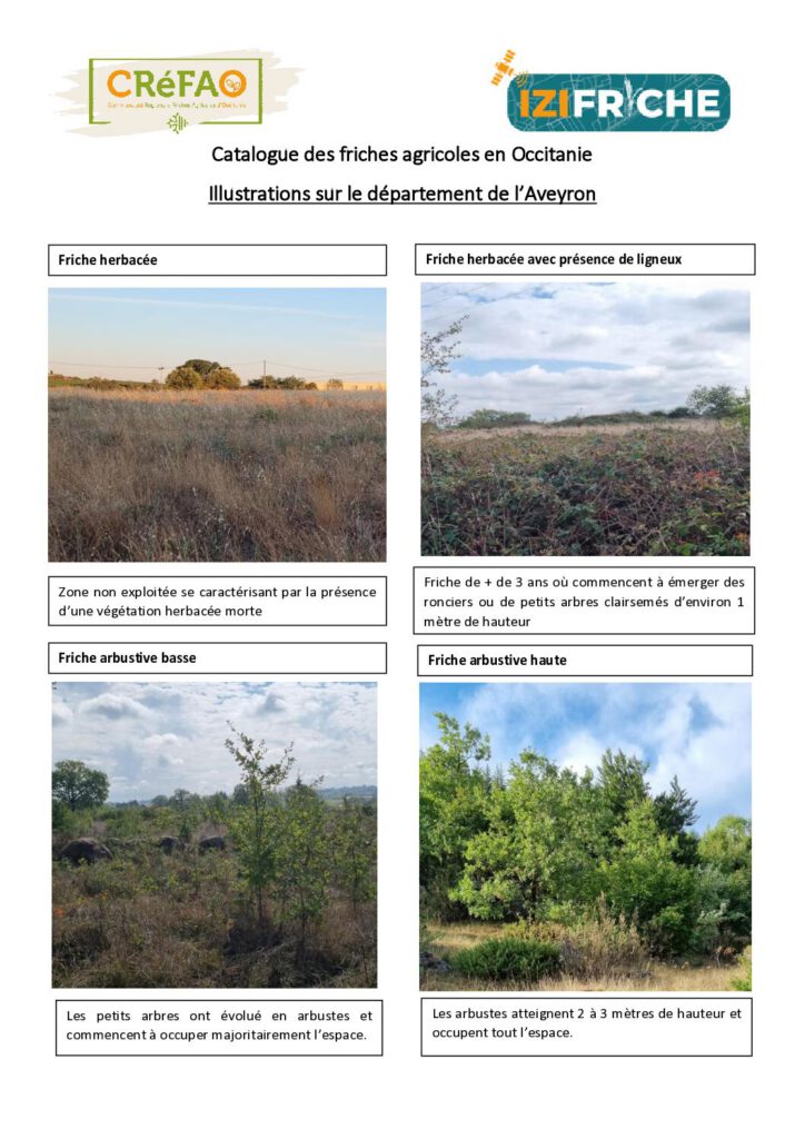 Illustrations sur le département de l'Aveyron