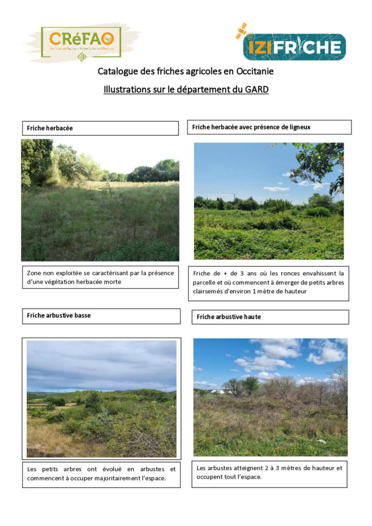 Illustrations sur le département du GARD