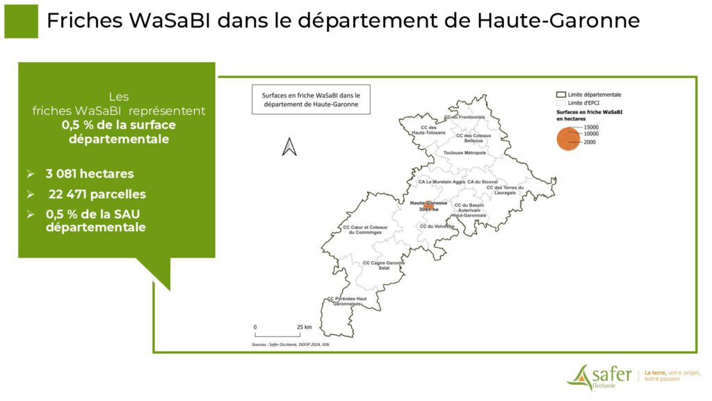 Friches WaSaBI dans le département de Haute-Garonne