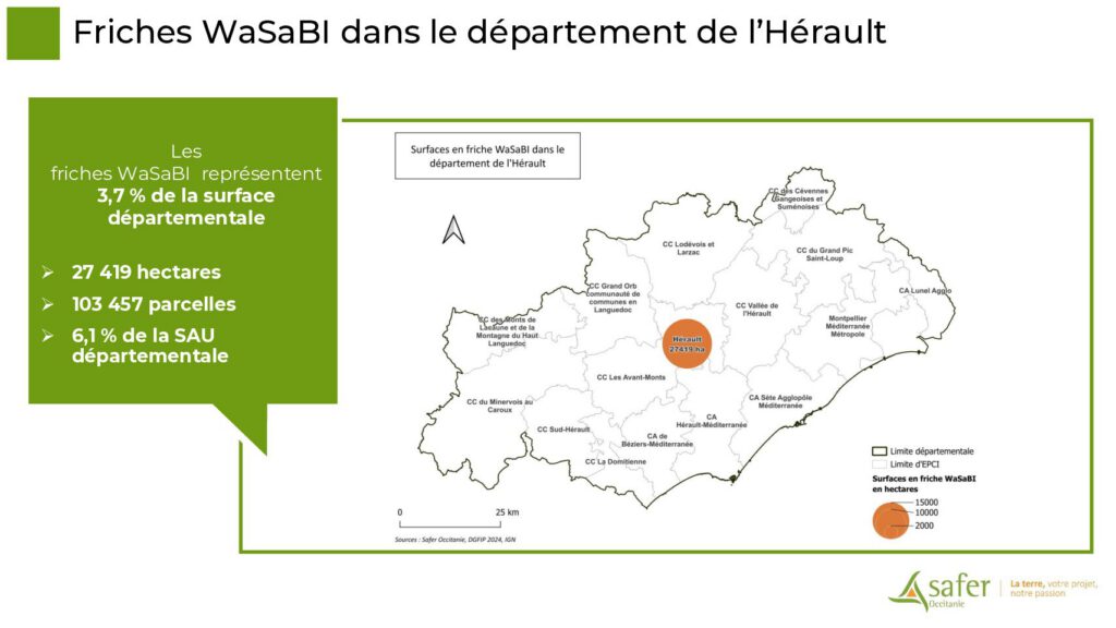 Friches WaSaBI dans le département de l’Hérault