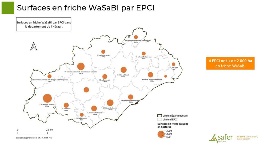 Surfaces en friche WaSaBI par EPCI