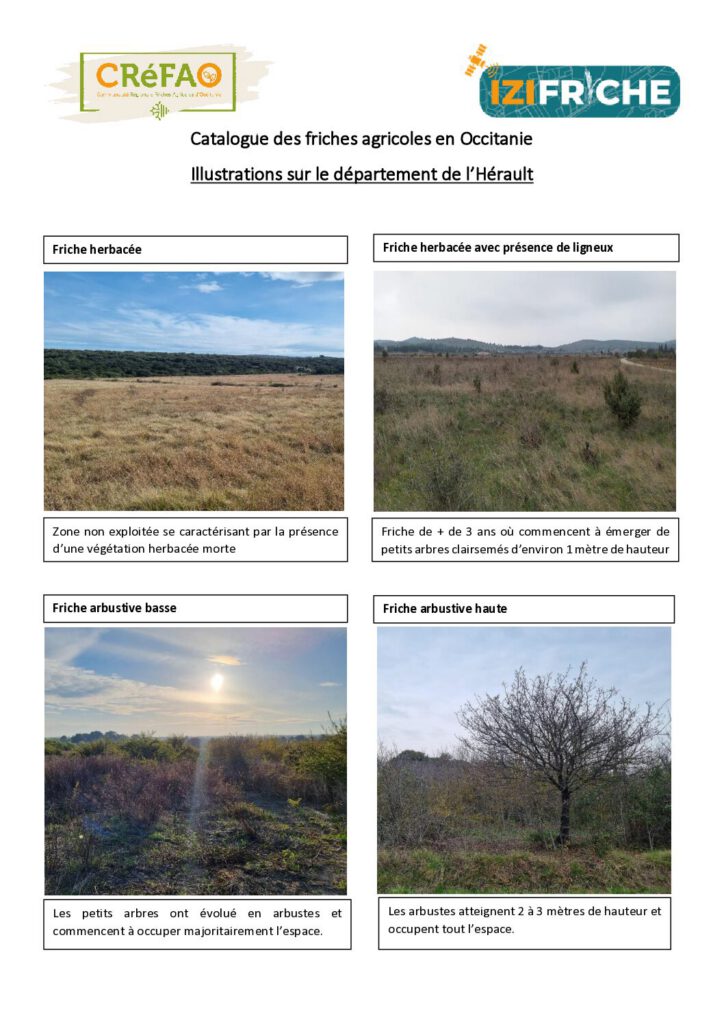 Illustrations sur le département de l’Hérault