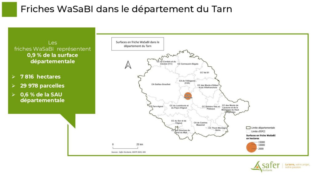 Friches WaSaBI dans le département du Tarn