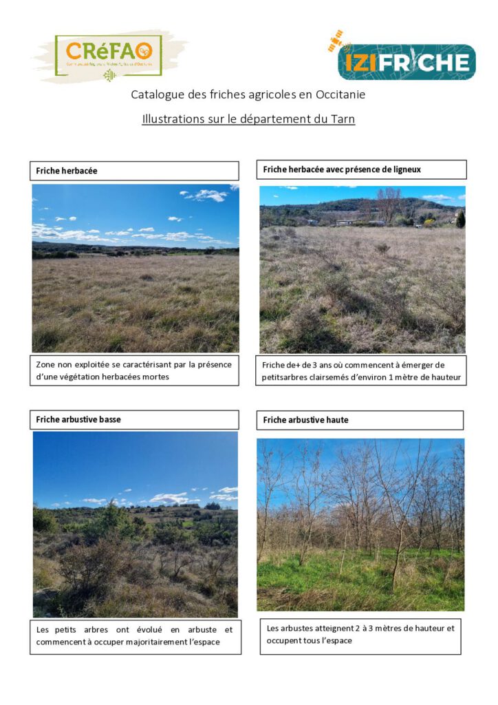 Illustrations sur le département du Tarn