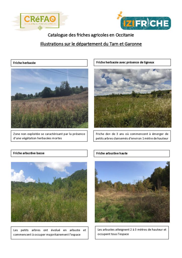 Illustrations sur le département du Tarn et Garonne
