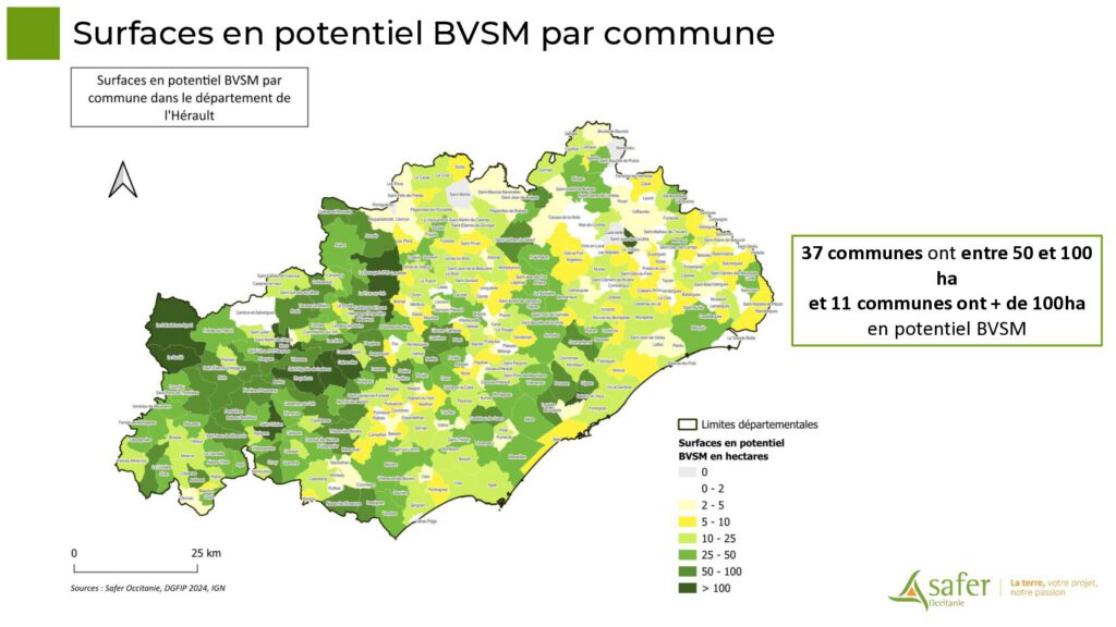 Surfaces en potentiel BVSM par commune