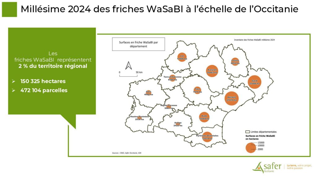 Millésime 2024 des friches WaSaBI à l’échelle de l’Occitanie