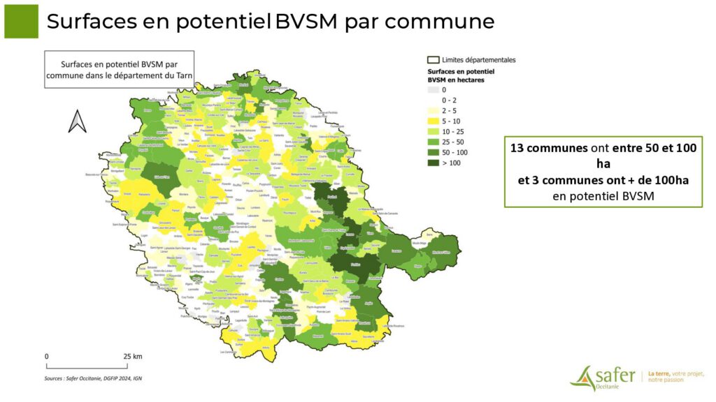 Surfaces en potentiel BVSM par commune
